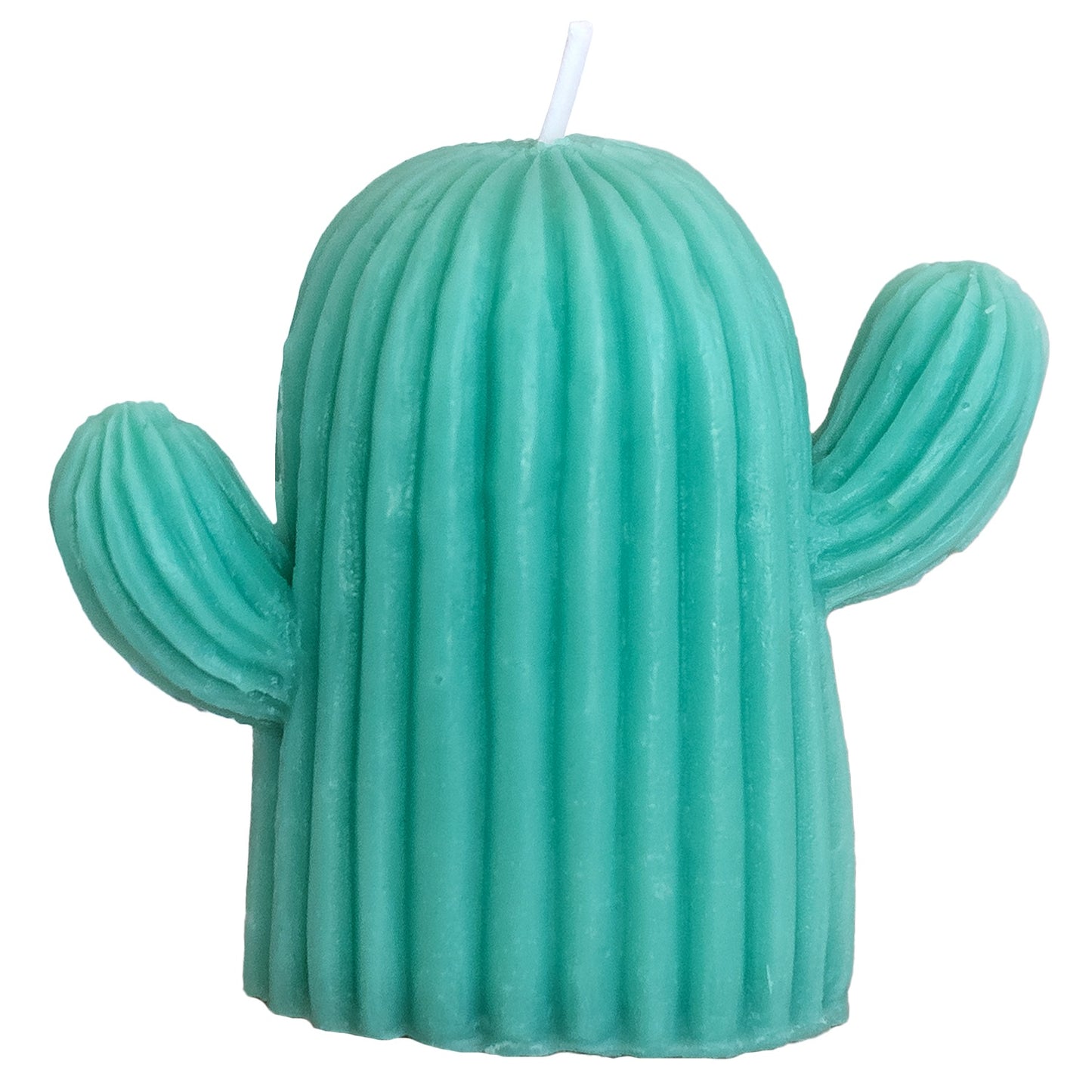Cute Cactus Candle