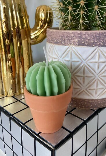 Cactus Candle
