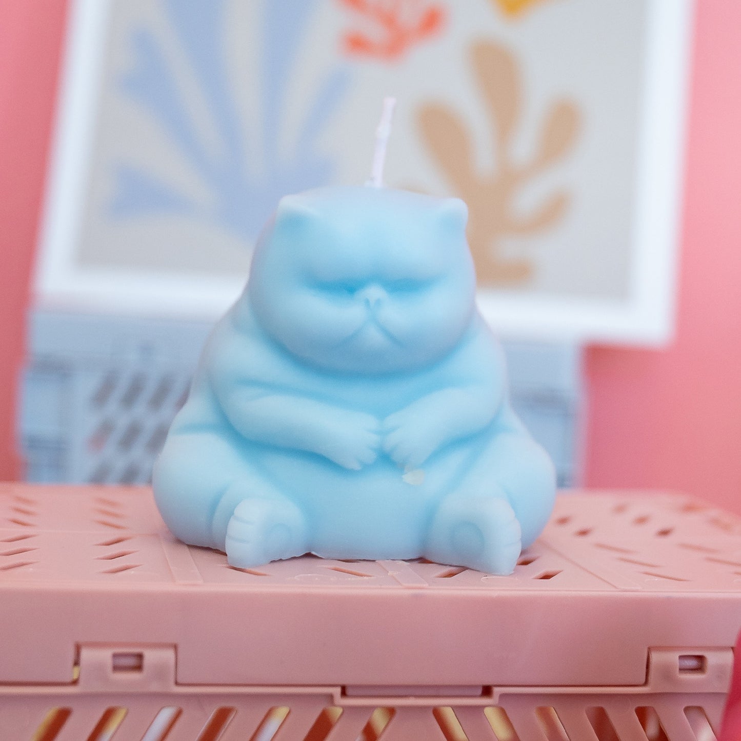 Funny Cat Candle