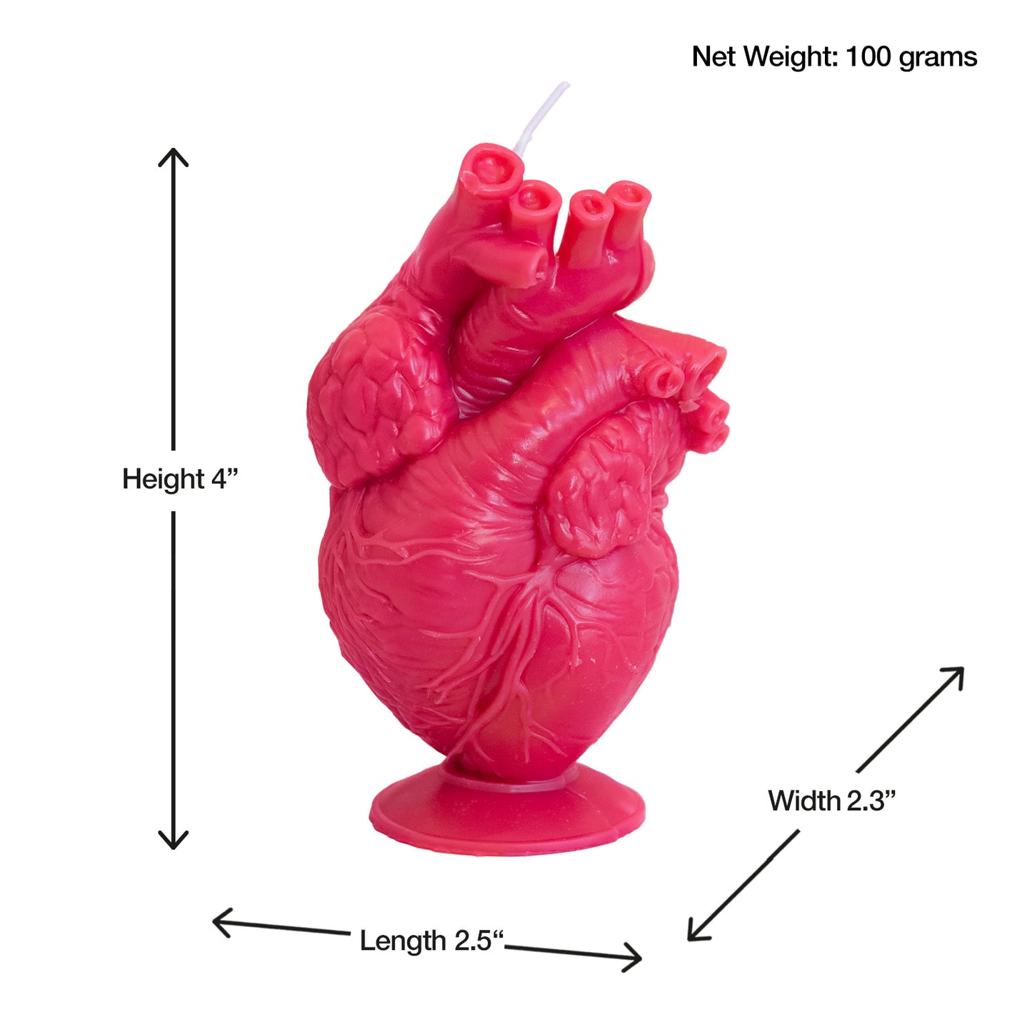 Anatomical Heart Candle