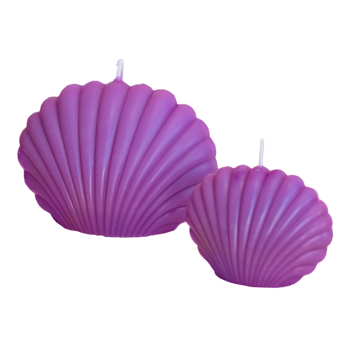 Sea Shell Candle