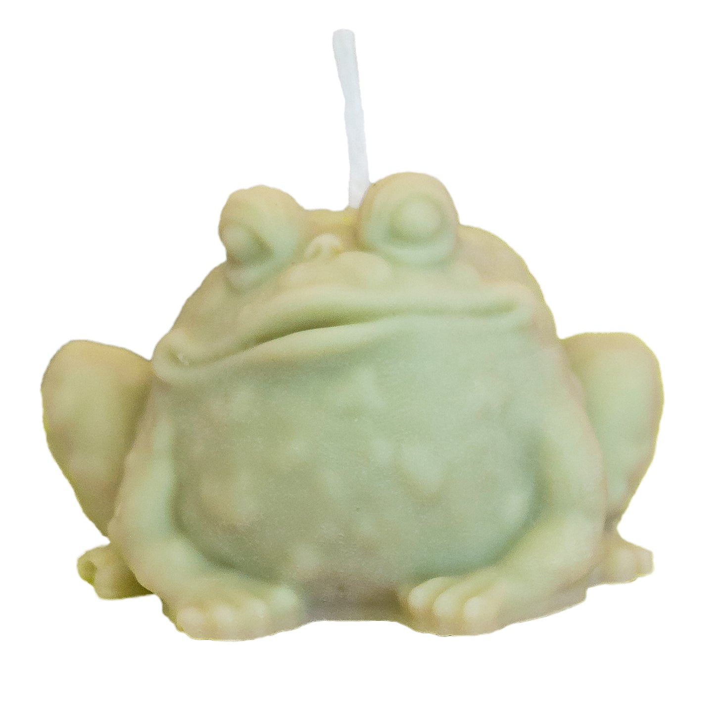 Good Luck Toad Candle