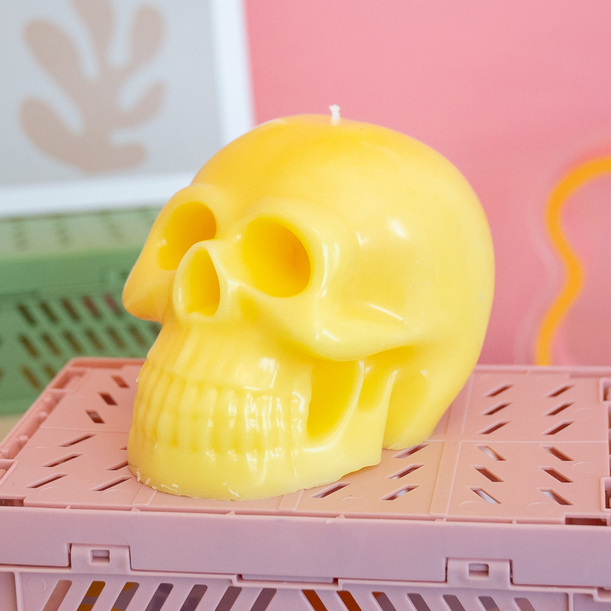 Skull Candle