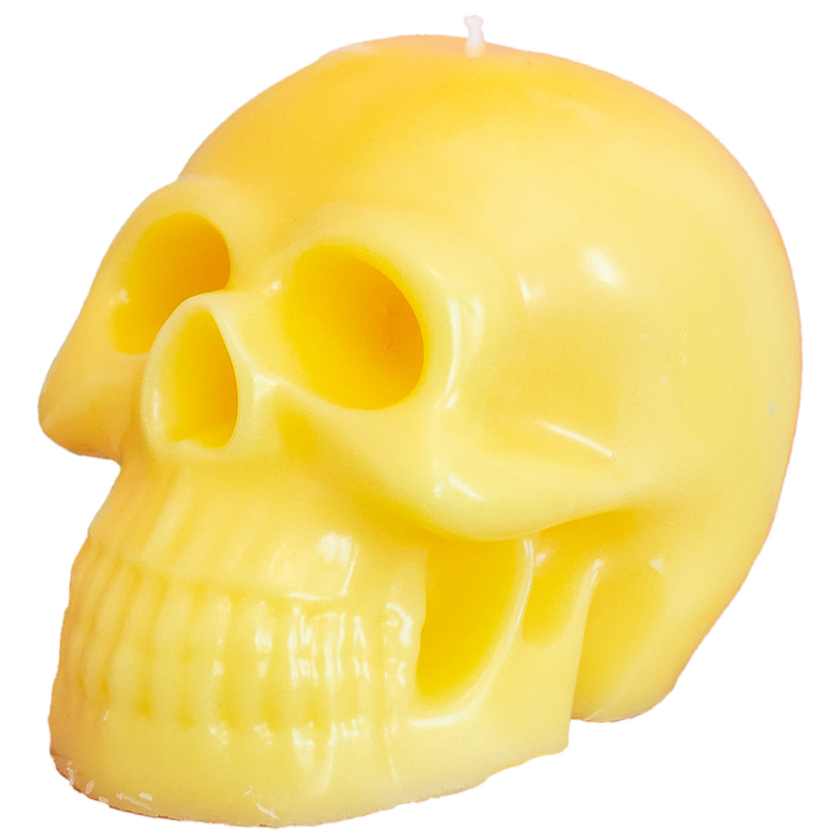 Skull Candle