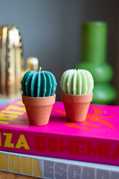 Cactus Candle