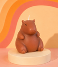 Capybara Candle | Cute Animal Candle | Funny Gift for Capybara Lovers | Cozy Home Decor | Hand Poured Novelty Candle