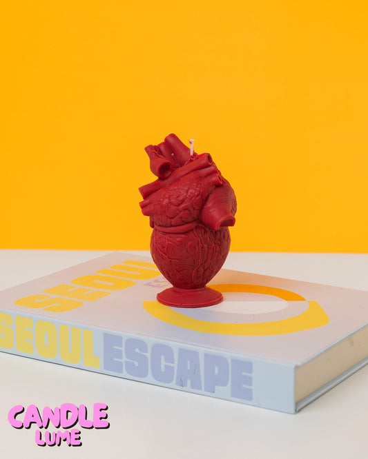 Heart Candle / Real Heart Candle / Human Heart Organ / Life Sized Realistic Heart Candle / Anatomical Heart Shaped Candle / Human Anatomy