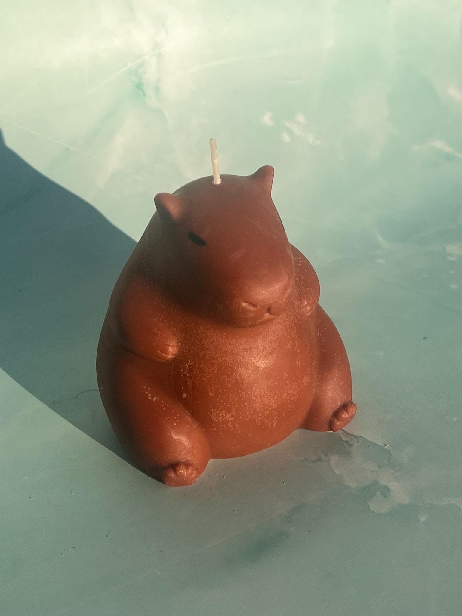 Capybara Candle / Animal Candle / Beautiful Candle / Decor Ideas / Decor Pieces / Cool Candle / Home Decor / Gift Ideas