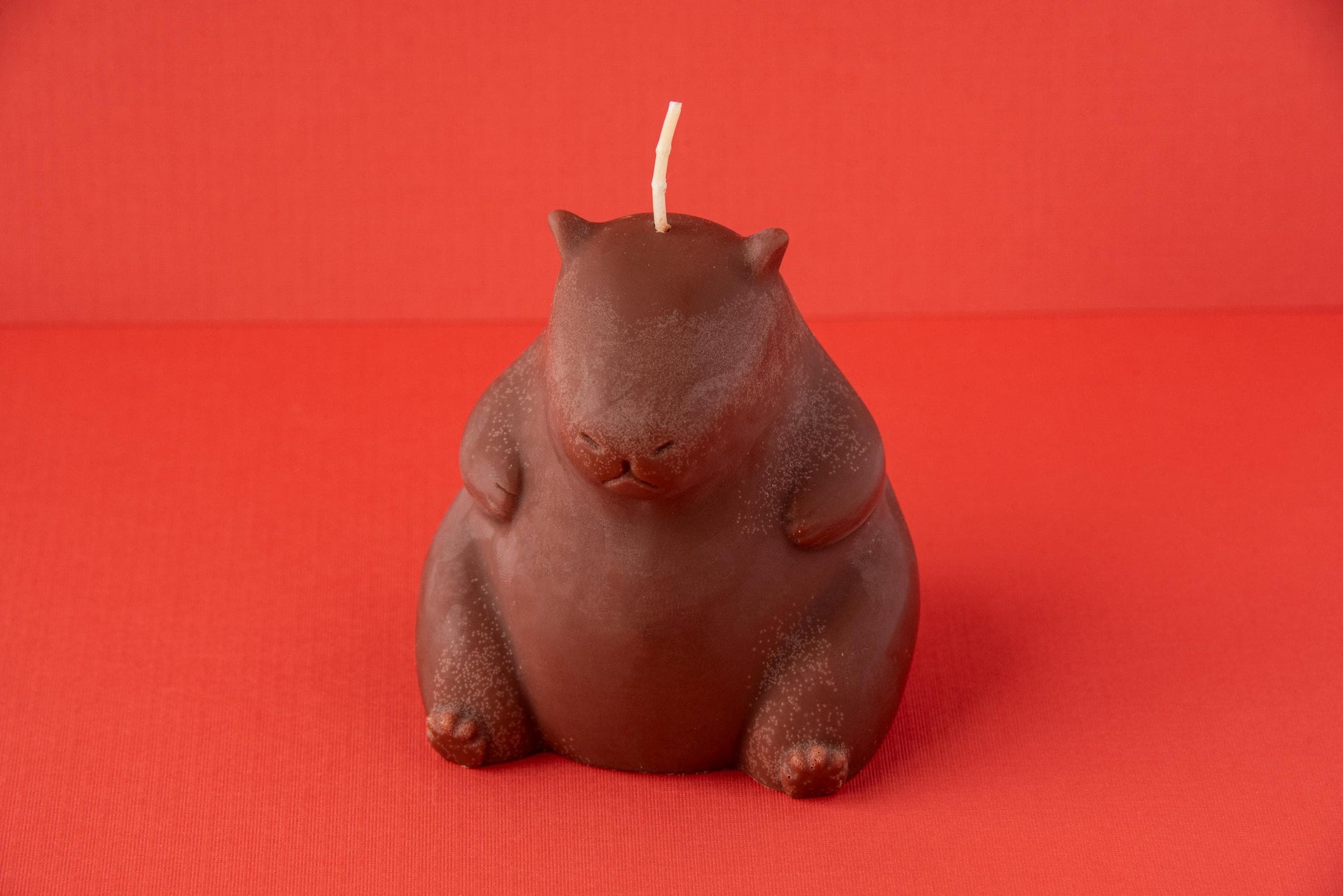 Capybara Candle / Animal Candle / Beautiful Candle / Decor Ideas / Decor Pieces / Cool Candle / Home Decor / Gift Ideas