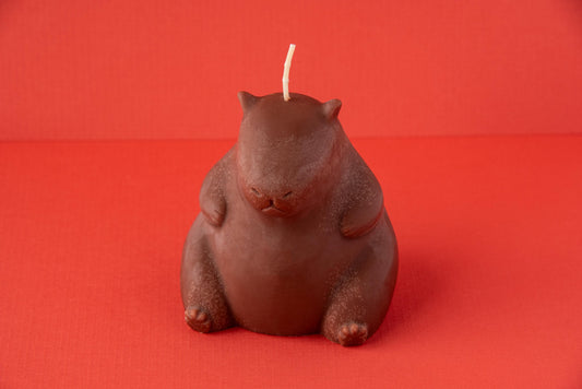 Capybara Candle / Animal Candle / Beautiful Candle / Decor Ideas / Decor Pieces / Cool Candle / Home Decor / Gift Ideas