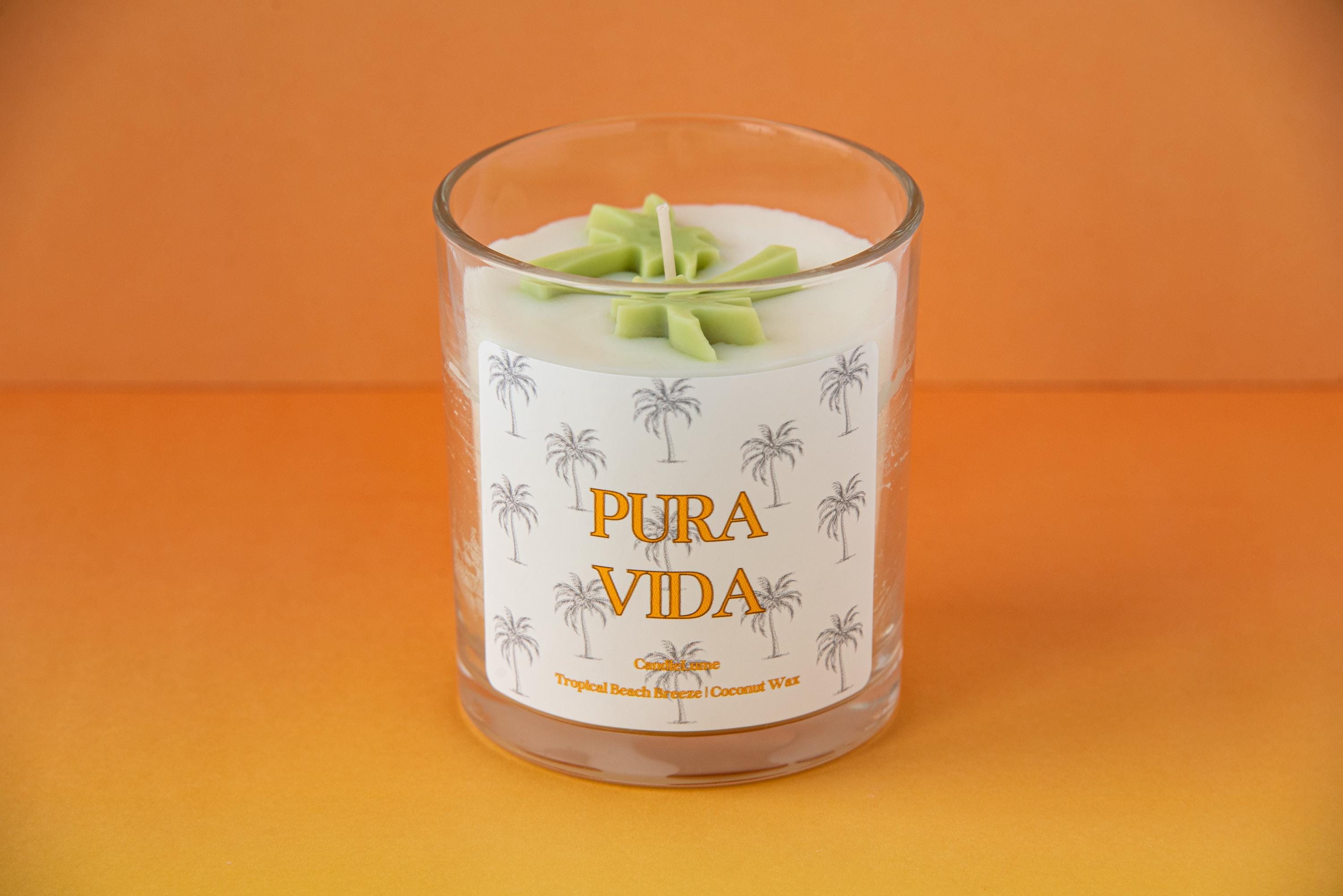 Pure Vida Candle/ Vacation Candle/ Coconut Wax Candles / Palm Tree / Vacation Candles
