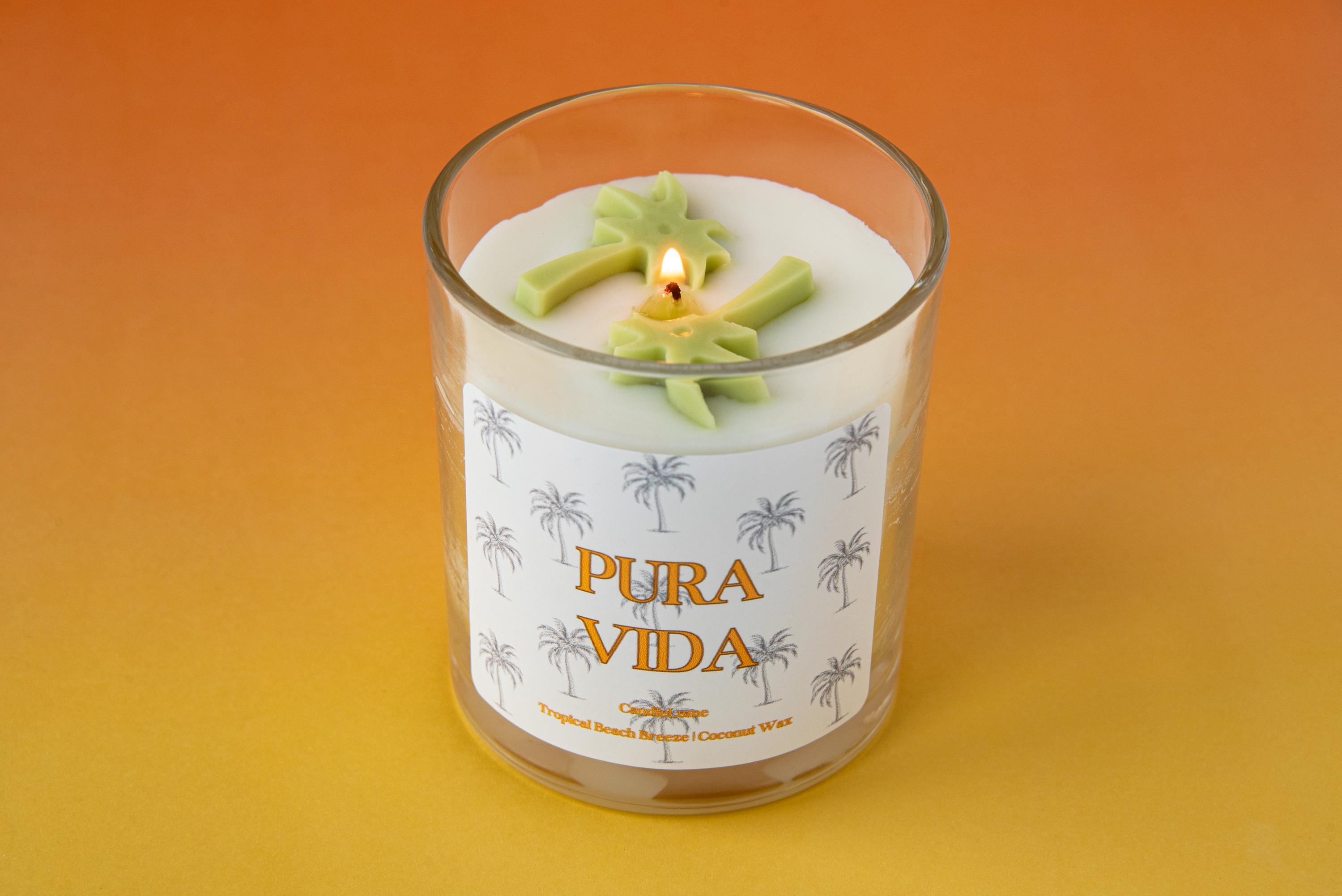 Pure Vida Candle/ Vacation Candle/ Coconut Wax Candles / Palm Tree / Vacation Candles