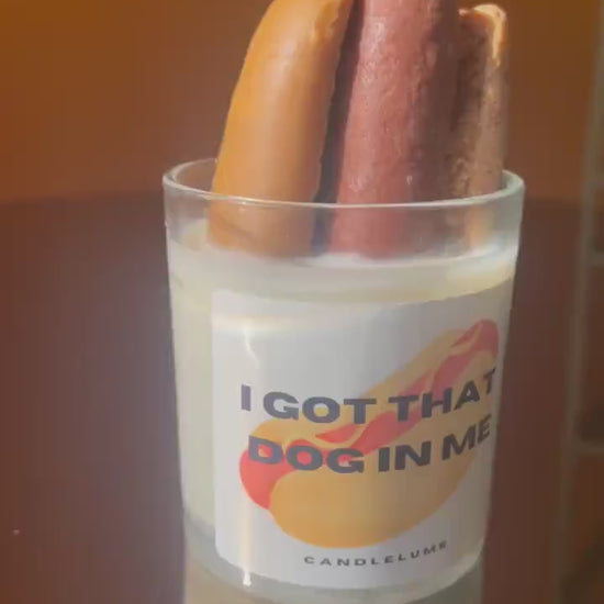 Hot Dog Candle / I got that dog in me candle / funny candle / custom candle / gift ideas