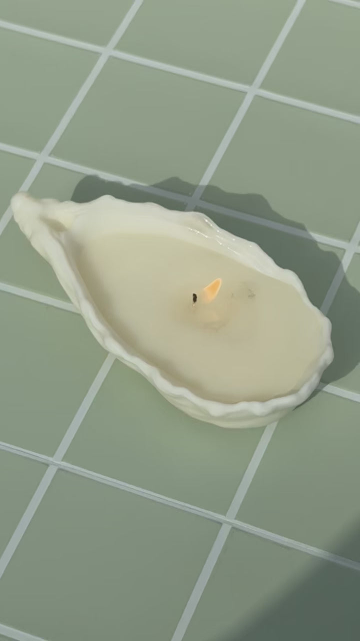Oyster Shell Candle | Coastal Decor Candle | Hand Poured Coconut Wax | Beach House Gift | Nautical Home Decor | Ocean Lover Gift