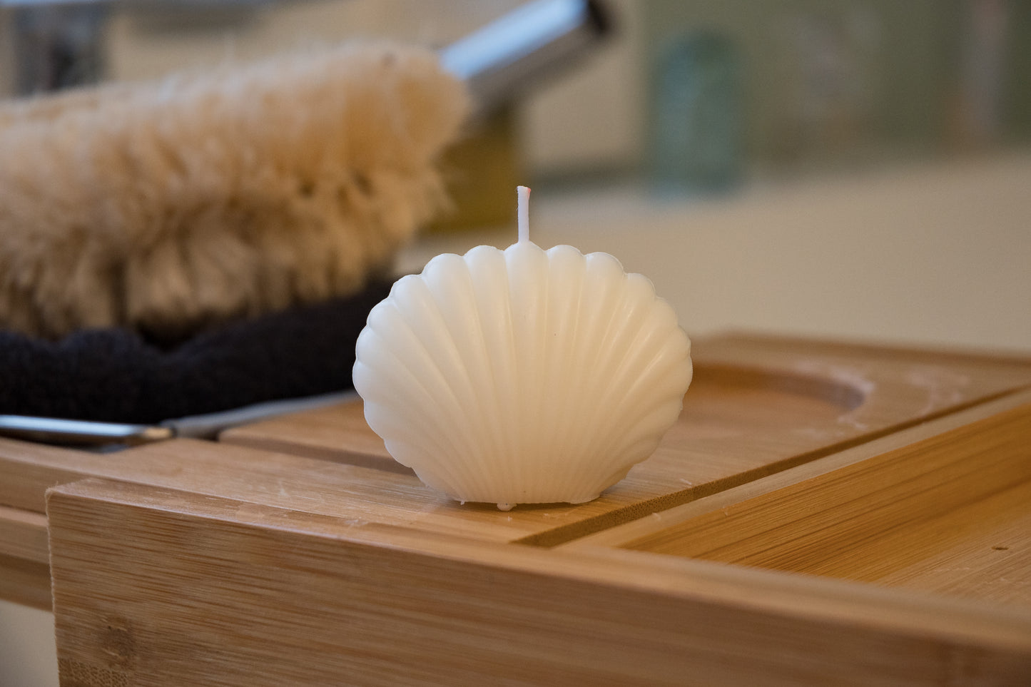 Sea Shell Candle