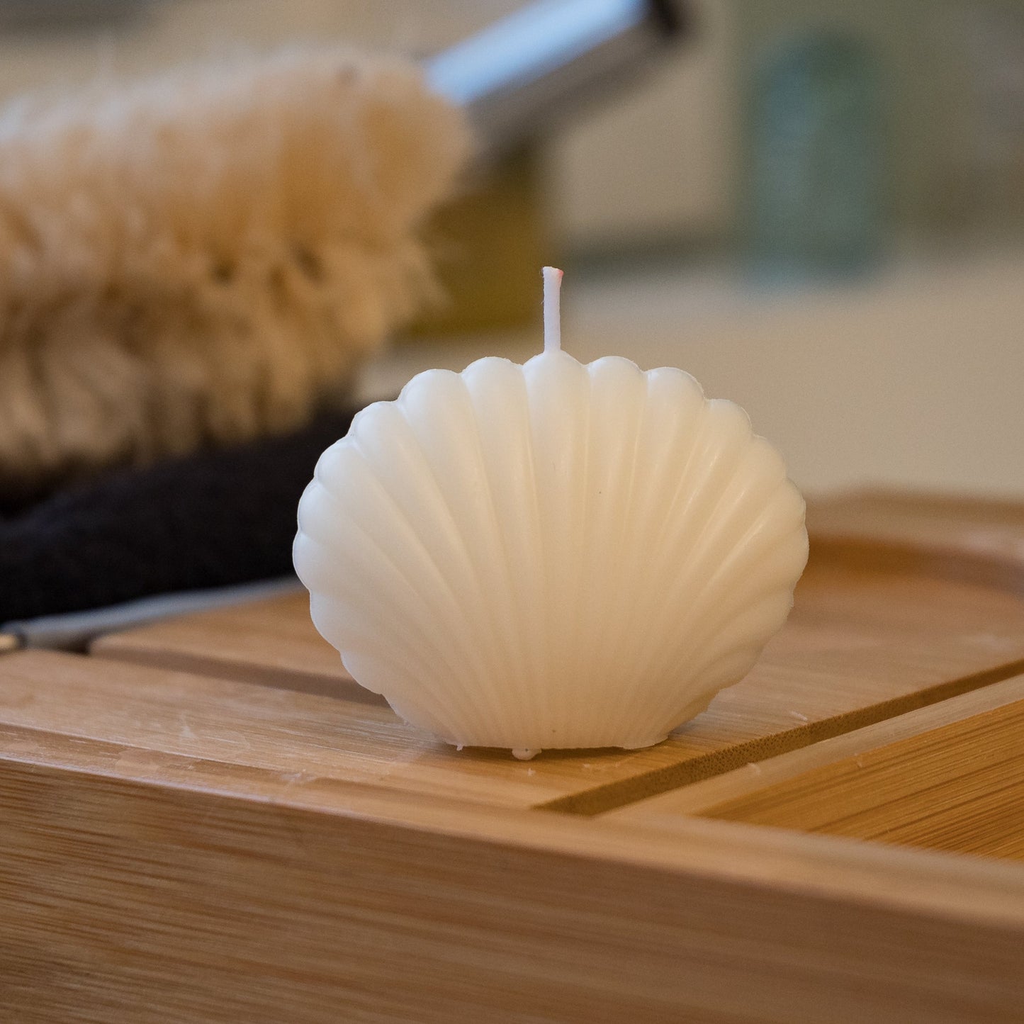 Sea Shell Candle